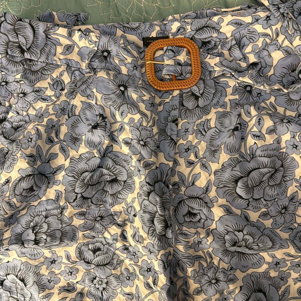 Ann Taylor shorts